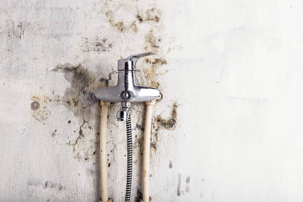 Best Industrial Mold Remediation in Coeburn, VA