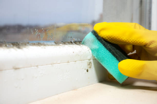 Coeburn, VA Mold Remediation Company