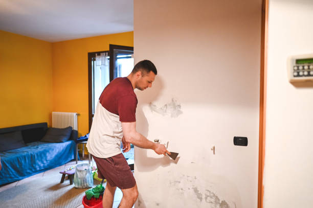 Best HVAC Mold Remediation in Coeburn, VA
