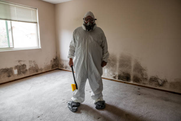 Best Mold Remediation for Schools in Coeburn, VA